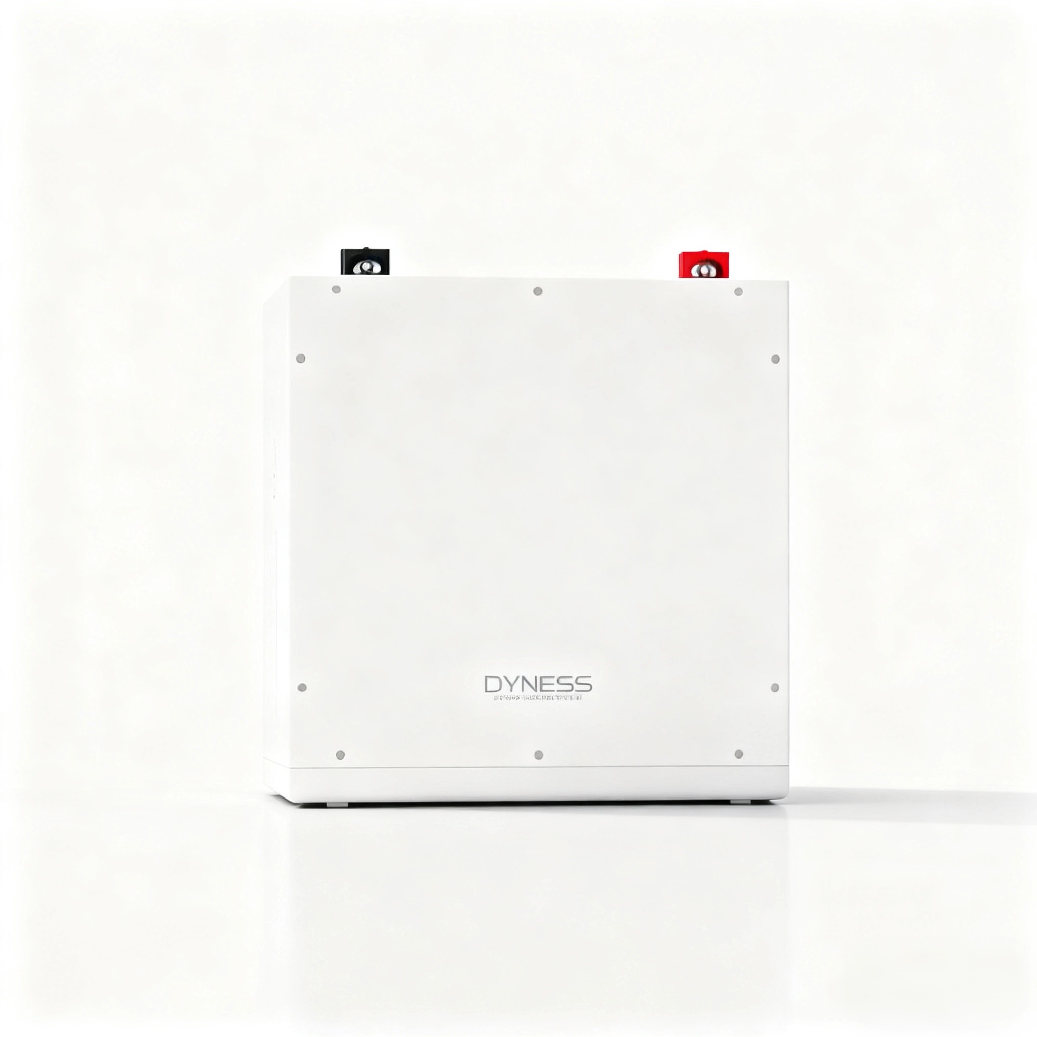 แบตเตอรี่ลิเธียมไอออน Dyness D - Lithium Battery 100Ah บทวิจารณ์และราคา