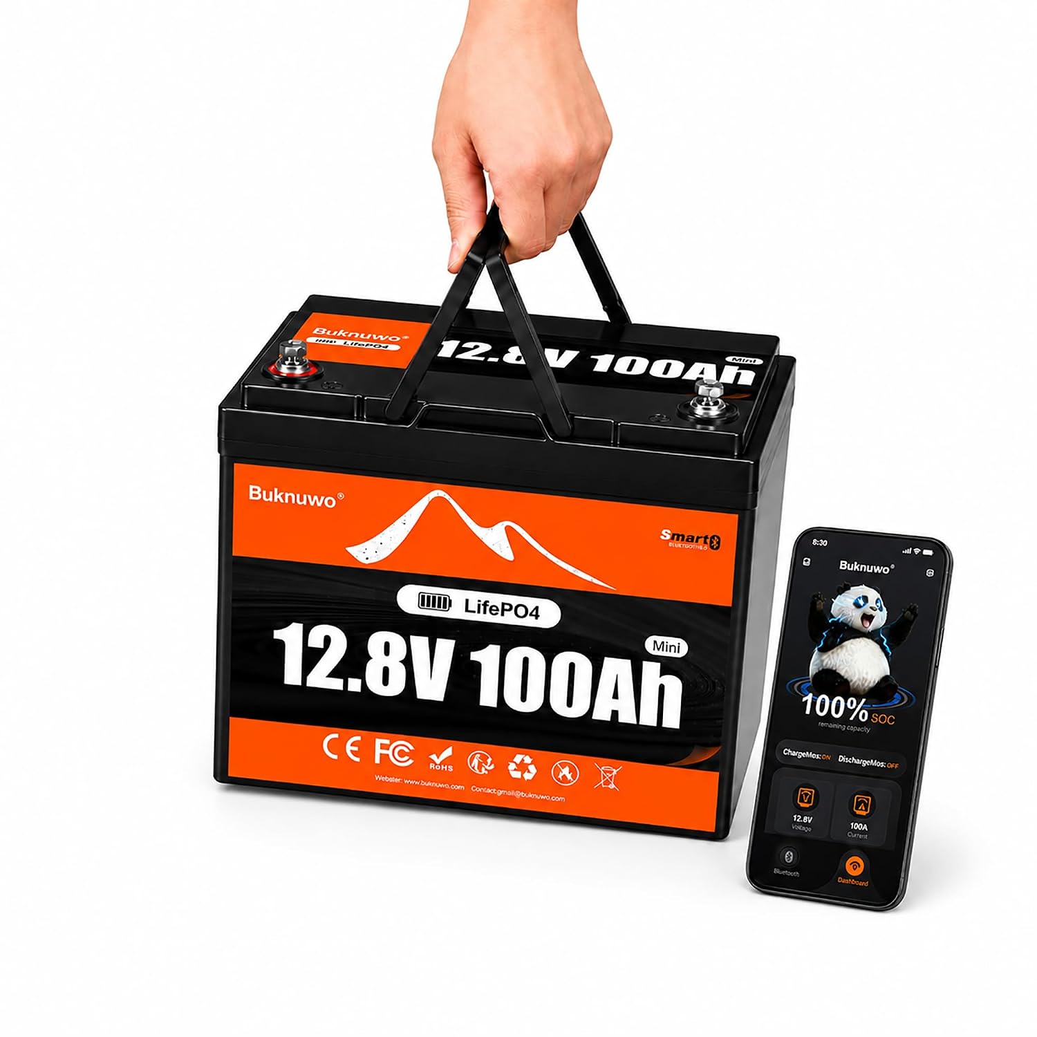 แบตเตอรี่ LiFePO4 สำหรับรถบ้าน - Lithium Battery 100Ah บทวิจารณ์และราคา